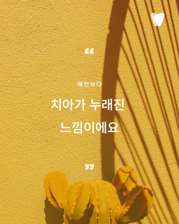 이미지 카드 · 치아색은 생각보다 많은 이야기를 품고 있습니다.
