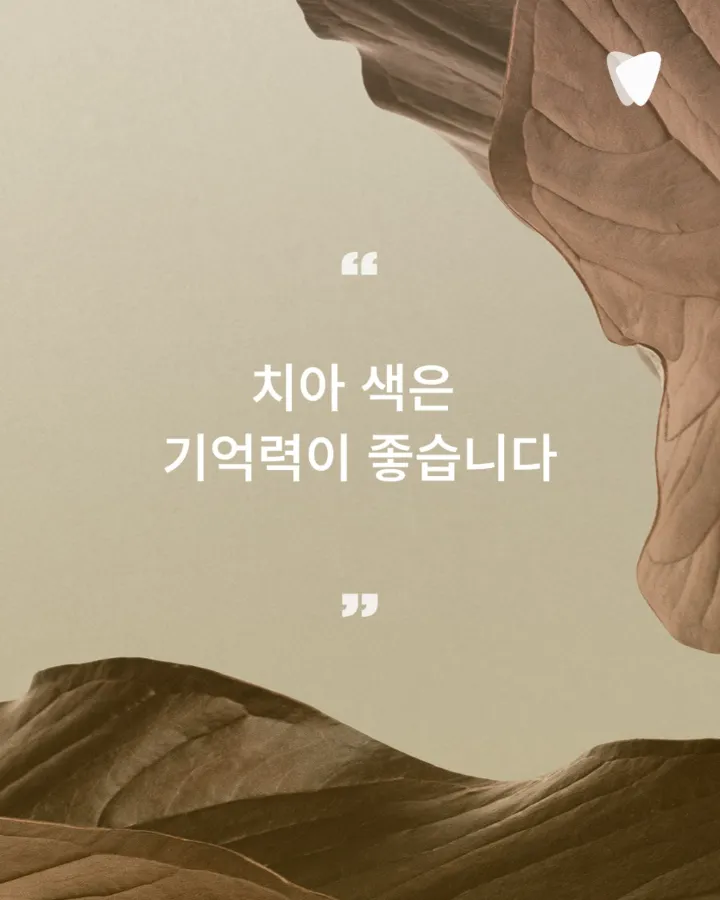 이미지 카드 · 치아색은 생각보다 많은 이야기를 품고 있습니다.