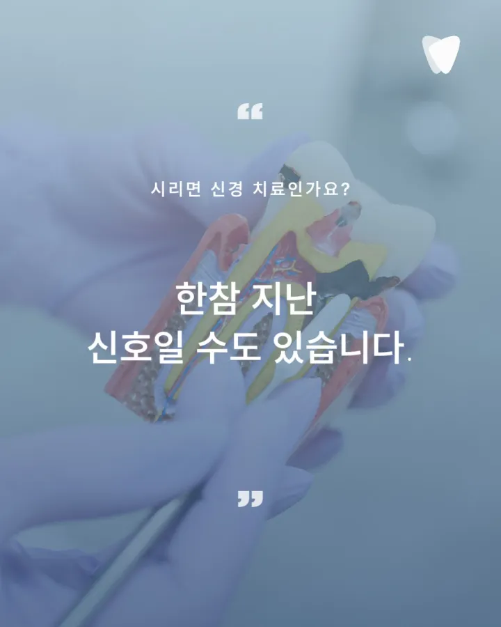 이미지 카드 · 아프지 않아서 미뤘던 그날, 치아는 이미 신호를 보내고 있었습니다