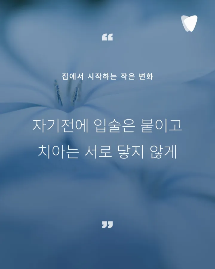 이미지 카드 · 치아가 깨졌을 때 바로 치료하지 않는 이유 — 균열 판단의 기준