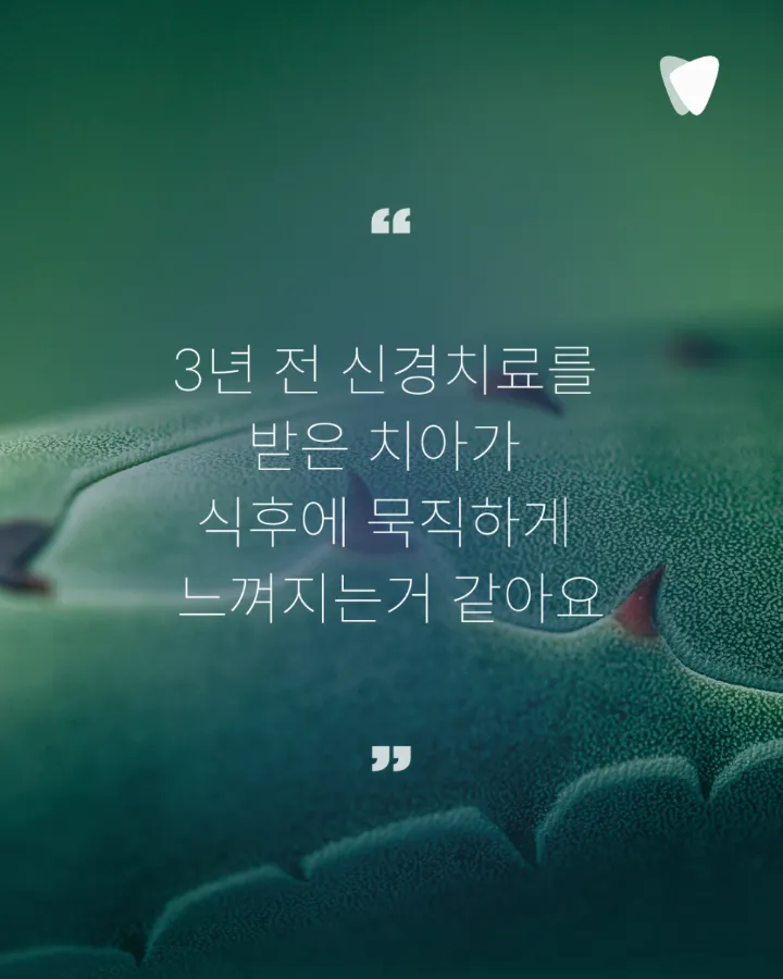 이미지 카드 · 열어야 할까, 두어야 할까 — 재신경치료를 결정하는 판단 앞에서