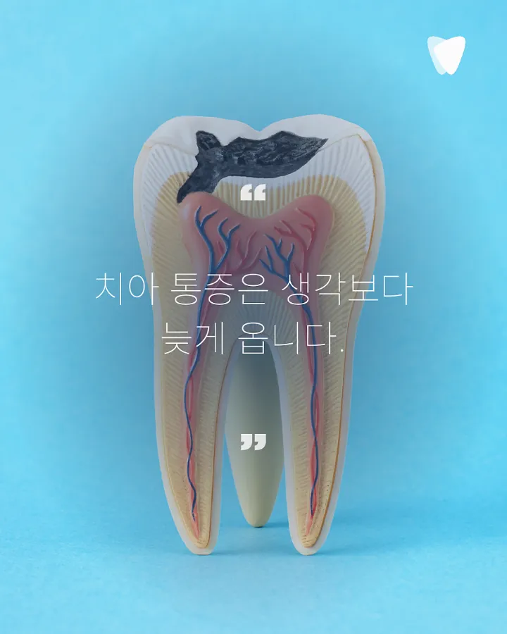 이미지 카드 · 예방이 가장 좋은 치료입니다_정기검진의 중요성
