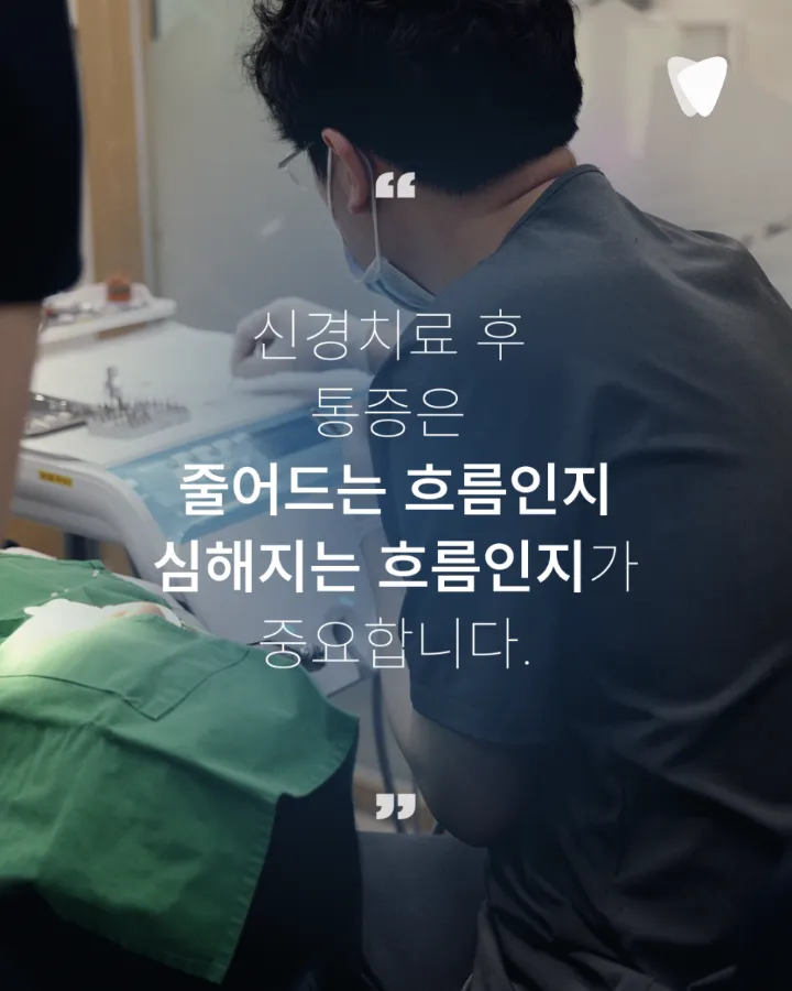 이미지 카드 · 신경치료 후에도 아픈 이유와 다시 봐야 할 부분