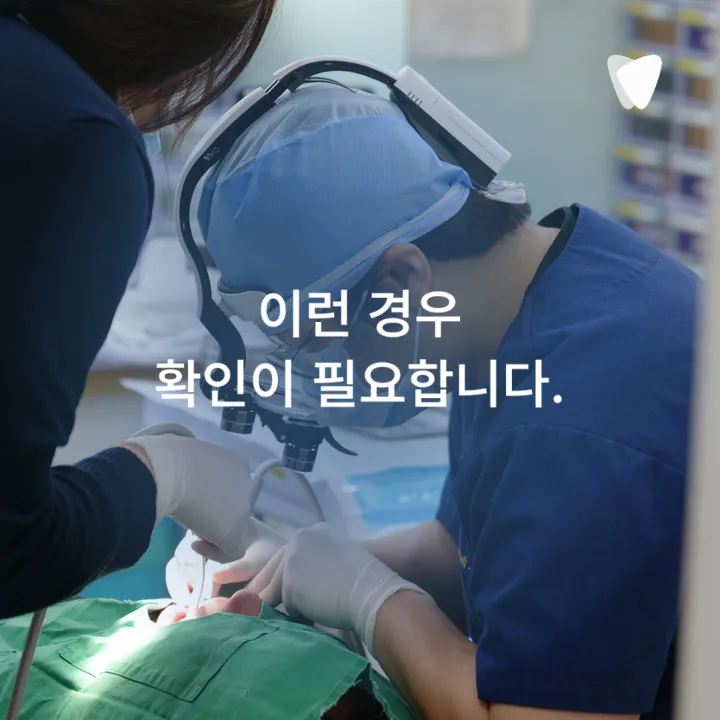 이미지 카드 · 잇몸이 붓고 고름이 날 때 먼저 의심할 수 있는 문제