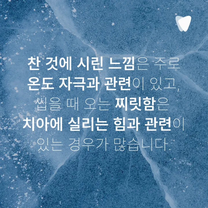 이미지 카드 · 음식 씹을 때 찌릿한 통증이 반복된다면 확인할 것