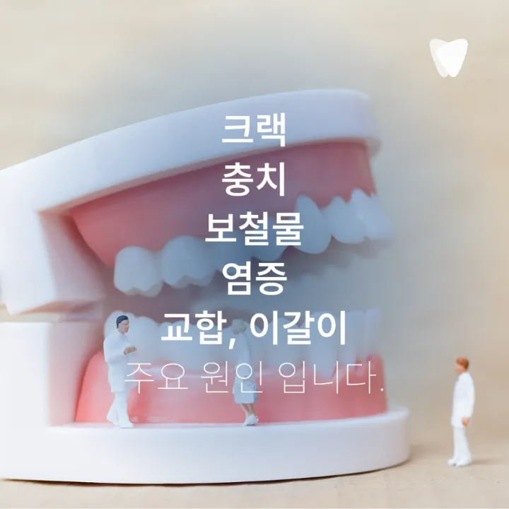 이미지 카드 · 음식 씹을 때 찌릿한 통증이 반복된다면 확인할 것