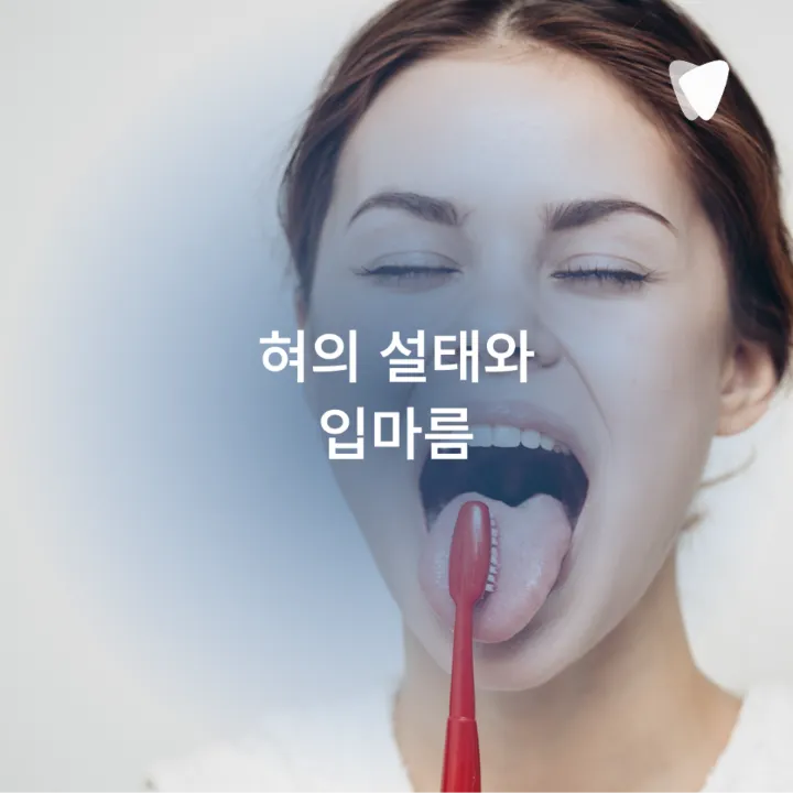 이미지 카드 · 양치해도 입냄새가 남는 이유, 치아와 잇몸에서 꼭 봐야 할 5가지
