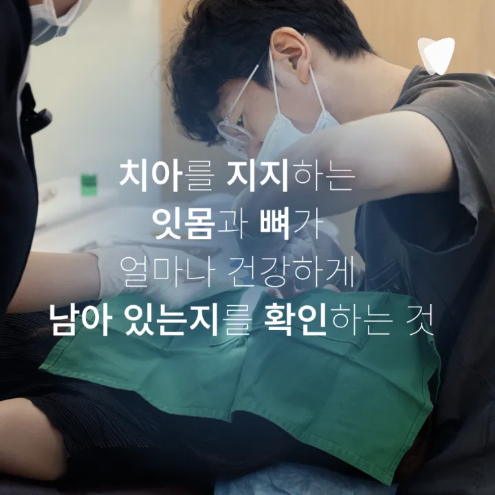 이미지 카드 · 치아가 흔들리는 느낌이 들 때 잇몸부터 봐야 하는 이유
