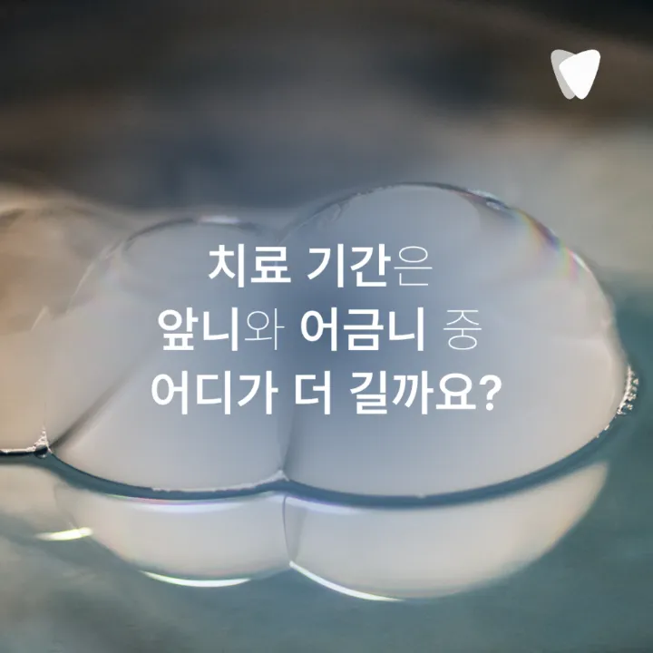 이미지 카드 · 운정 어금니 임플란트, 앞니 임플란트와 다른 점
