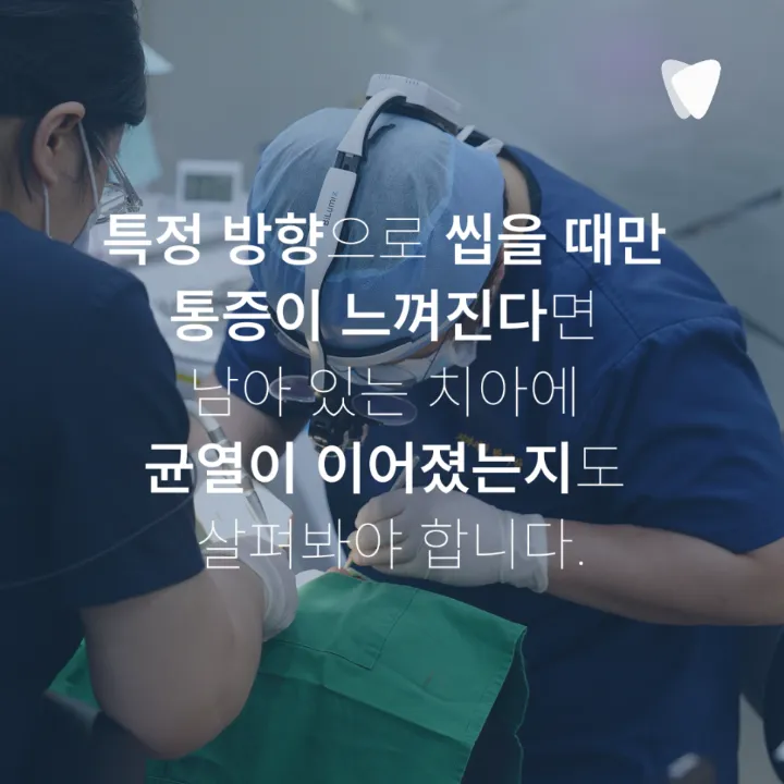 이미지 카드 · 치아가 깨졌을 때 당일 치과에 가야 할까요? 바로 확인할 6가지