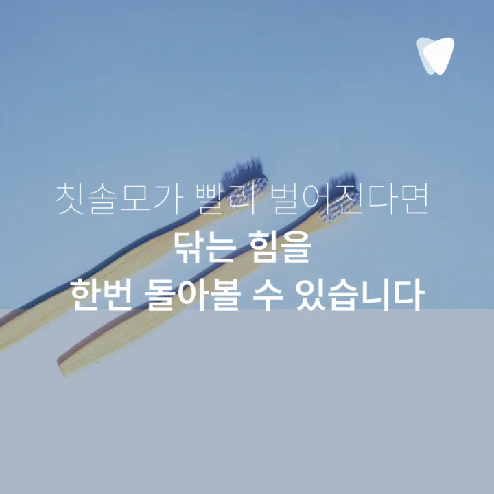 이미지 카드 · 양치 후에도 특정 치아가 시린 느낌이 남는 이유