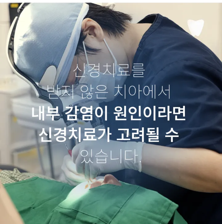 이미지 카드 · 뿌리 끝에 염증이 있는데 고름길이 반복되는 이유