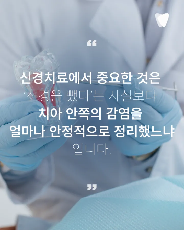 이미지 카드 · 신경치료는 왜 여러 번 받아야 할까요? 한 번에 끝나지 않는 이유
