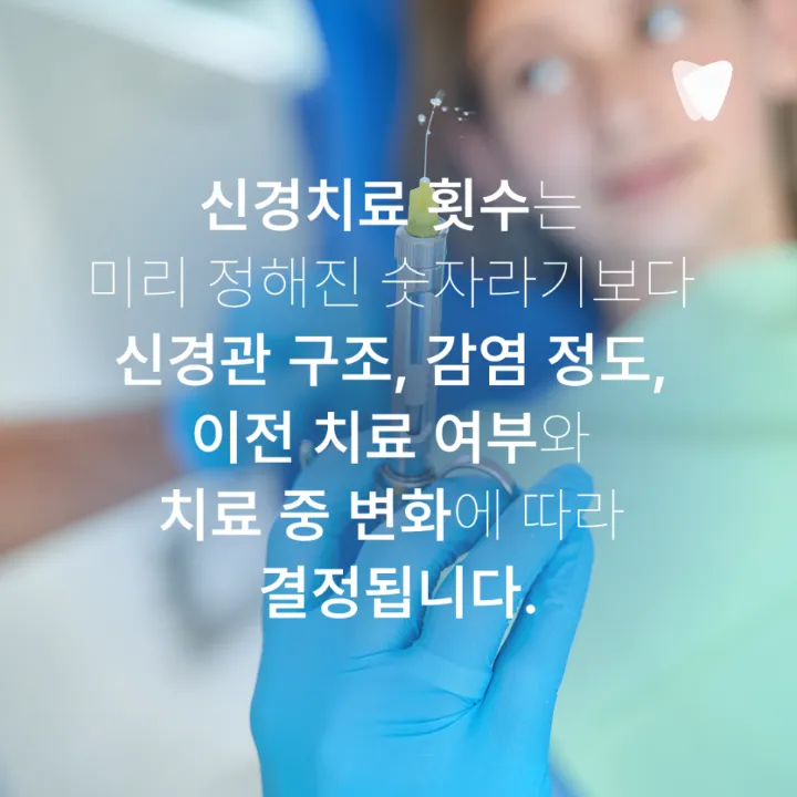 이미지 카드 · 신경치료는 왜 여러 번 받아야 할까요? 한 번에 끝나지 않는 이유