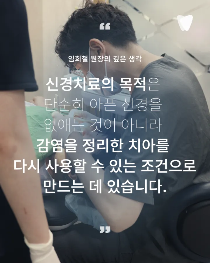 이미지 카드 · 신경치료는 왜 여러 번 받아야 할까요? 한 번에 끝나지 않는 이유