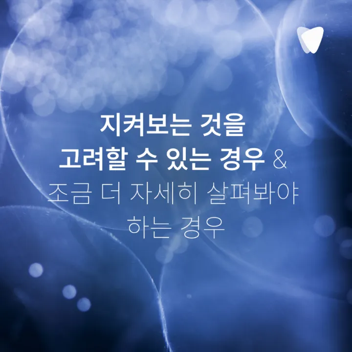 이미지 카드 · 치아 사이 충치는 왜 엑스레이에서 먼저 보일까요?