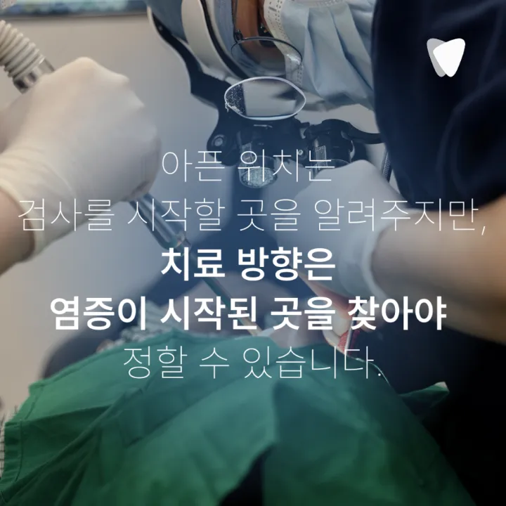 이미지 카드 · 치아와 잇몸 경계를 눌렀을 때 아픈 이유, 뿌리 끝 염증과 치주농양의 차이