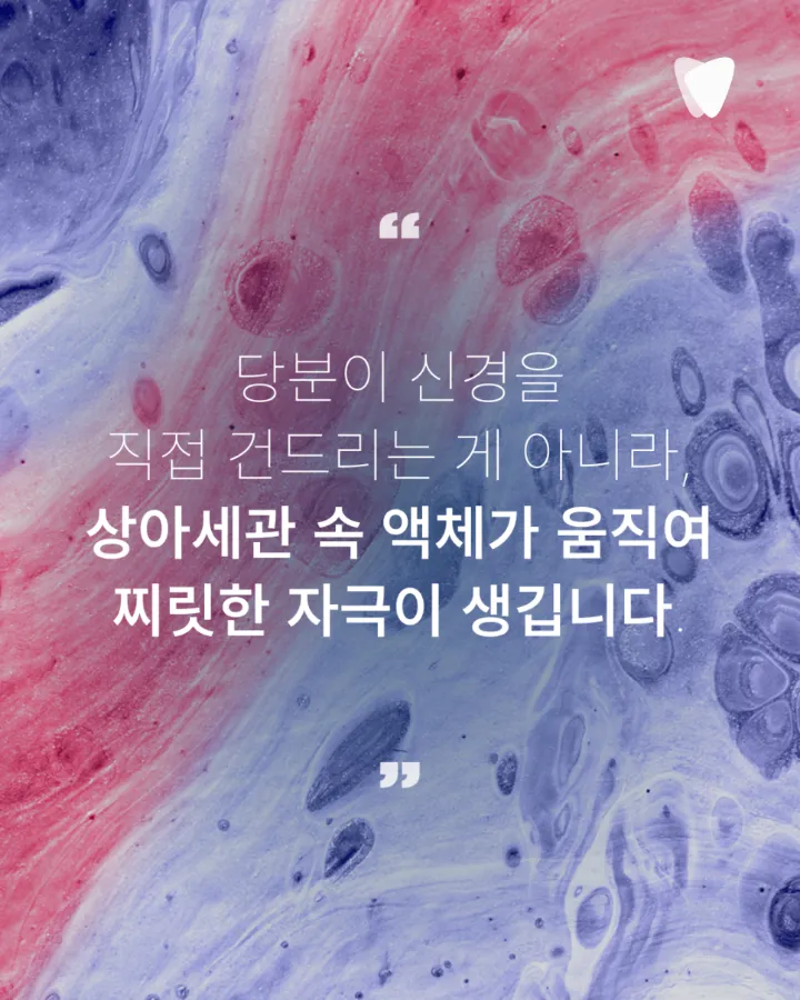 이미지 카드 · 단것을 먹을 때 이가 찌릿한 이유, 충치 단계와 관련 있을까요