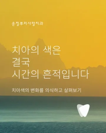치아가 조용히 말을 거는 방식 — 색이 바뀐다는 것의 의미