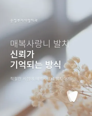 운정신도시 매복 사랑니 발치, 종합병원 가기 전에 알아야 할 것