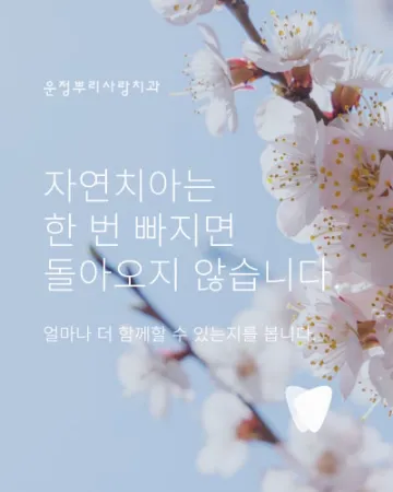 신경치료 후 자연치아를 쉽게 빼지 않는 이유