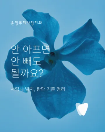 사랑니 발치, 안 아프면 안 빼도 될까요? 판단 기준 정리