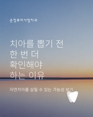 운정 발치 고민 중이라면, 치아를 뽑기 전 한 번 더 확인해야 하는 이유