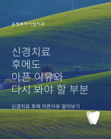 신경치료 후에도 아픈 이유와 다시 봐야 할 부분