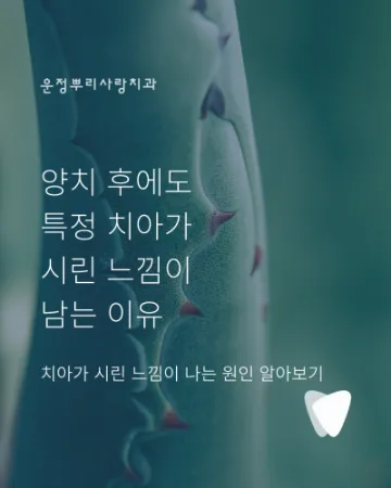 양치 후에도 특정 치아가 시린 느낌이 남는 이유