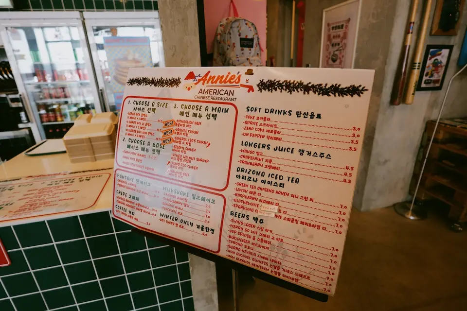 애니스 사진