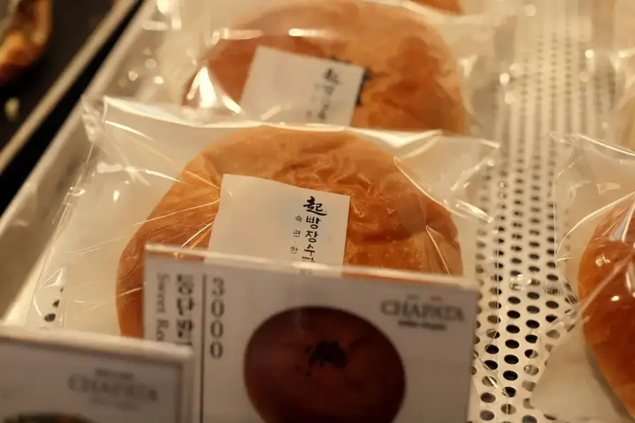 쟈빠따 사진