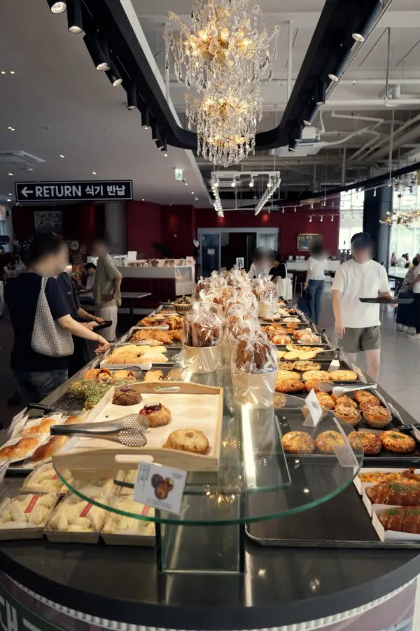 쟈빠따 사진