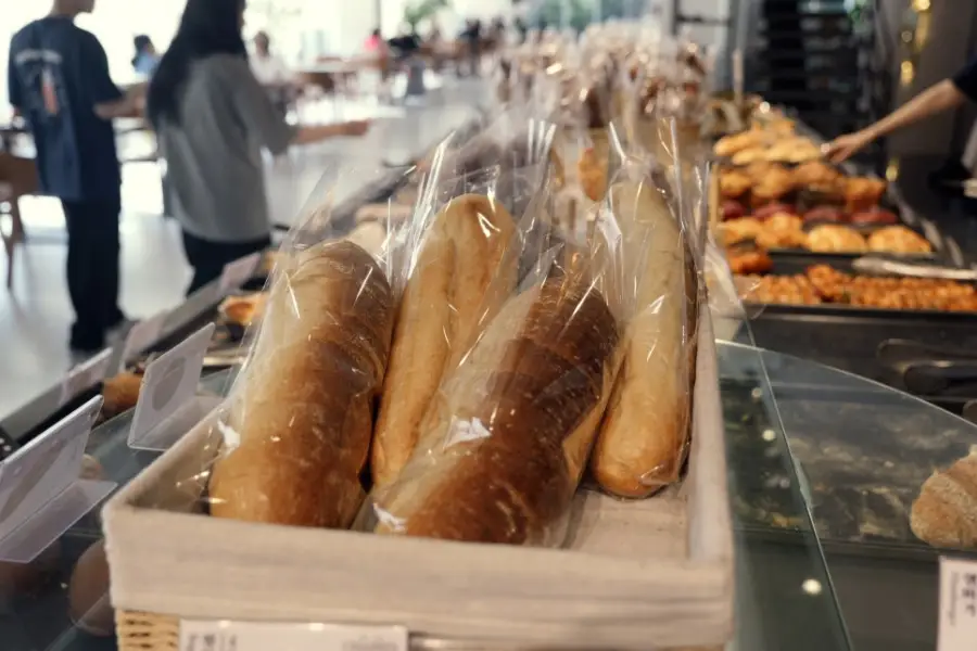 쟈빠따 사진
